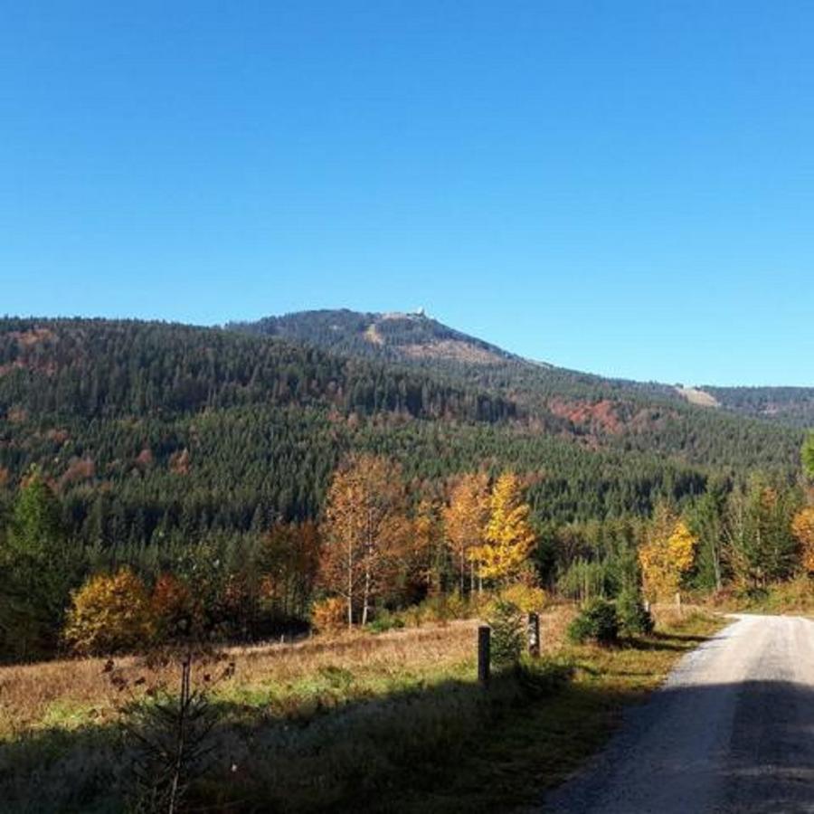 Appartamento Haus Kuchler Bayerisch Eisenstein Esterno foto